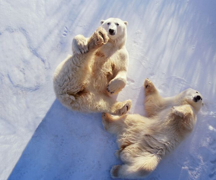 40 Animal Pics That'll Totally Make Your Day (Seriously, You'll Smile)