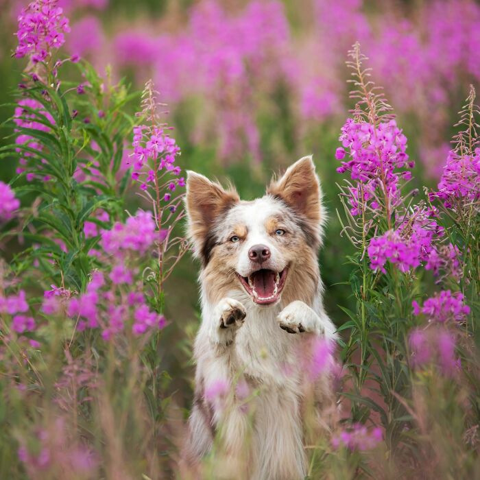 40 Animal Pics That'll Totally Make Your Day (Seriously, You'll Smile)