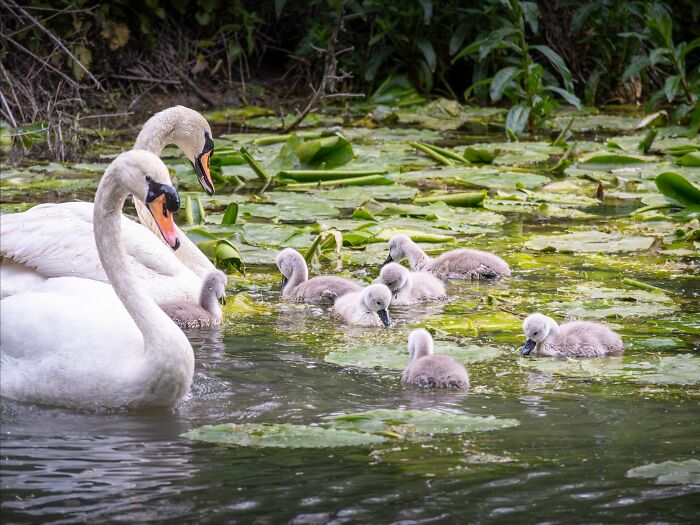 40 Animal Pics That'll Totally Make Your Day (Seriously, You'll Smile)