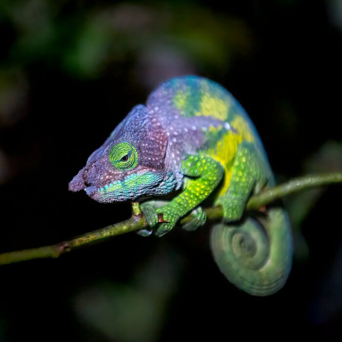 40 Animal Pics That'll Totally Make Your Day (Seriously, You'll Smile)