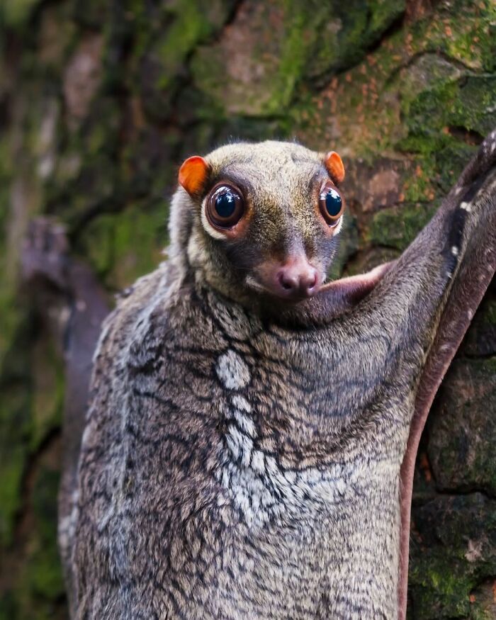 40 Animal Pics That'll Totally Make Your Day (Seriously, You'll Smile)