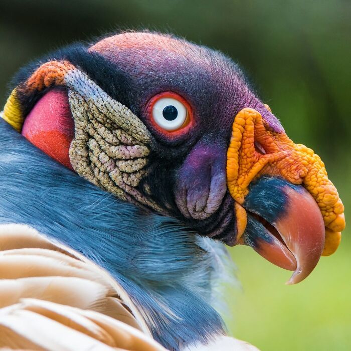 40 Animal Pics That'll Totally Make Your Day (Seriously, You'll Smile)