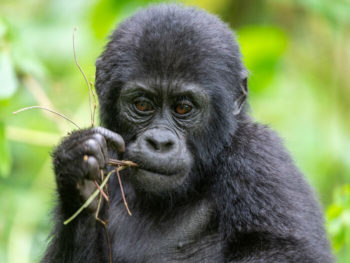 40 Animal Pics That'll Totally Make Your Day (Seriously, You'll Smile)