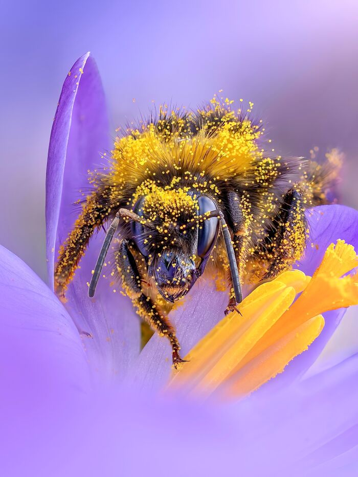 Get Ready To Geek Out Over These Wild Close-Ups of Tiny Nature Stuff!