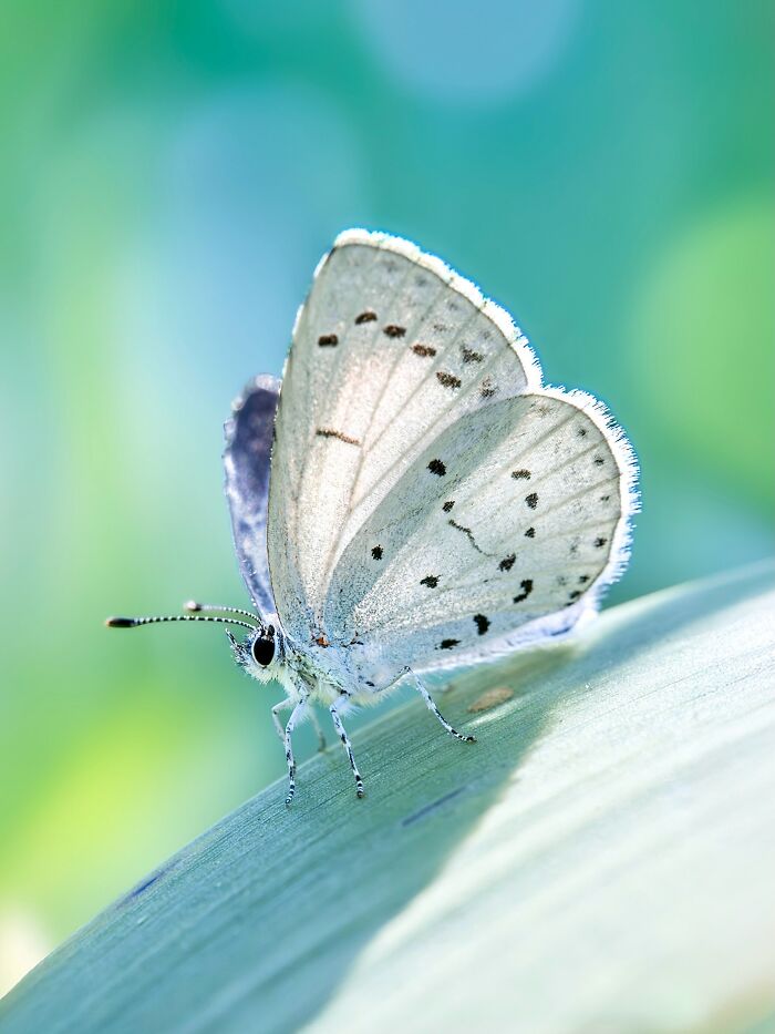 Get Ready To Geek Out Over These Wild Close-Ups of Tiny Nature Stuff!