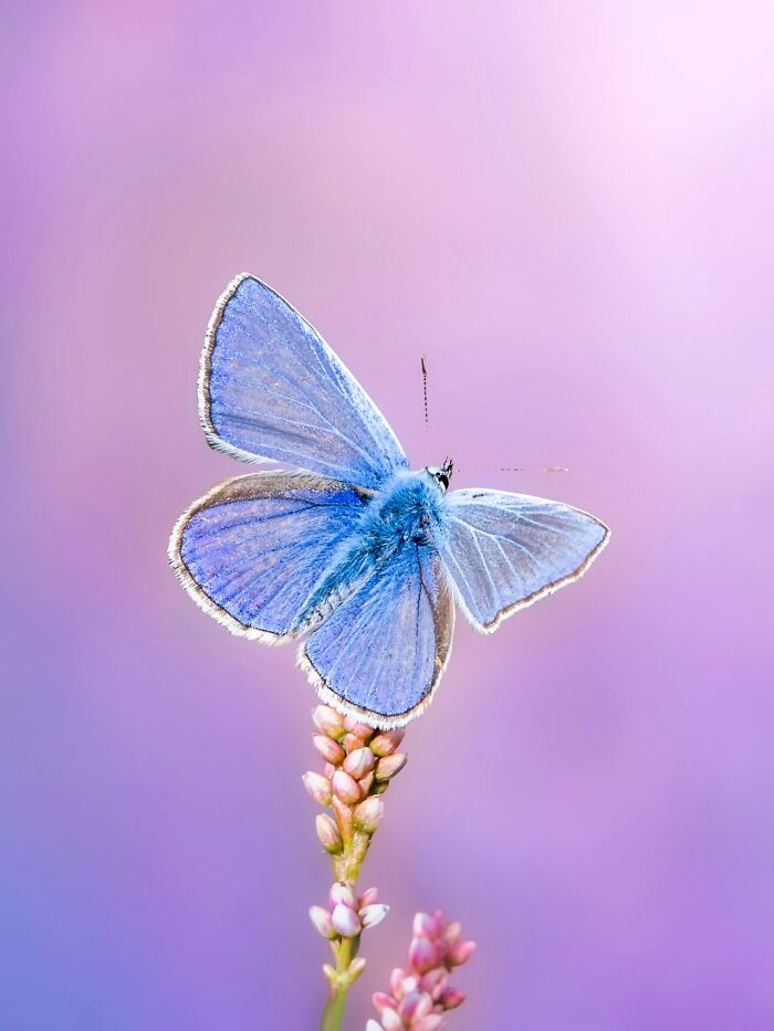 Get Ready To Geek Out Over These Wild Close-Ups of Tiny Nature Stuff!