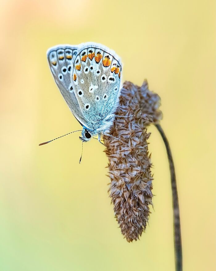 Get Ready To Geek Out Over These Wild Close-Ups of Tiny Nature Stuff!