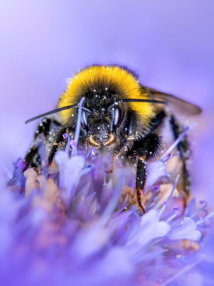 Get Ready To Geek Out Over These Wild Close-Ups of Tiny Nature Stuff!