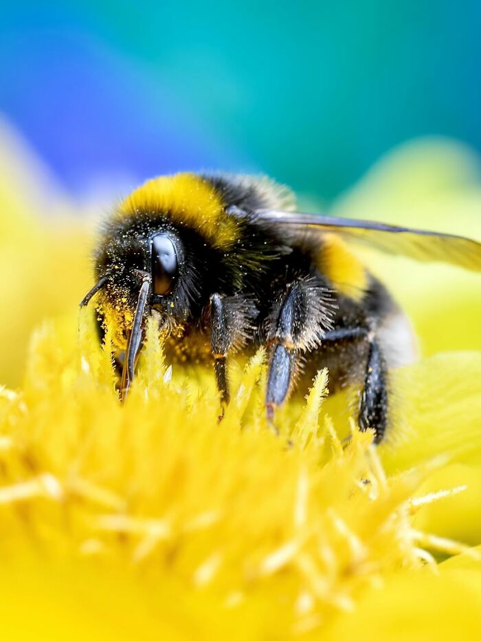Get Ready To Geek Out Over These Wild Close-Ups of Tiny Nature Stuff!