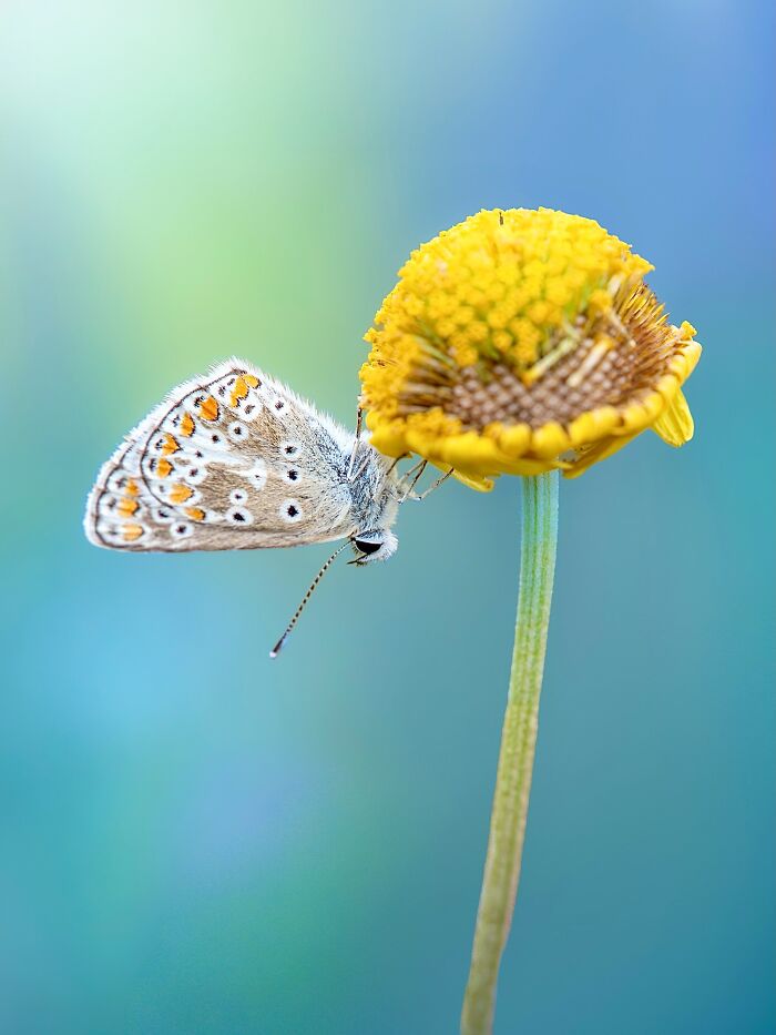 Get Ready To Geek Out Over These Wild Close-Ups of Tiny Nature Stuff!