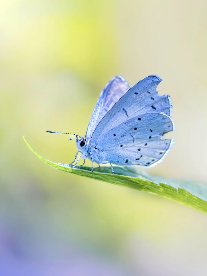 Get Ready To Geek Out Over These Wild Close-Ups of Tiny Nature Stuff!