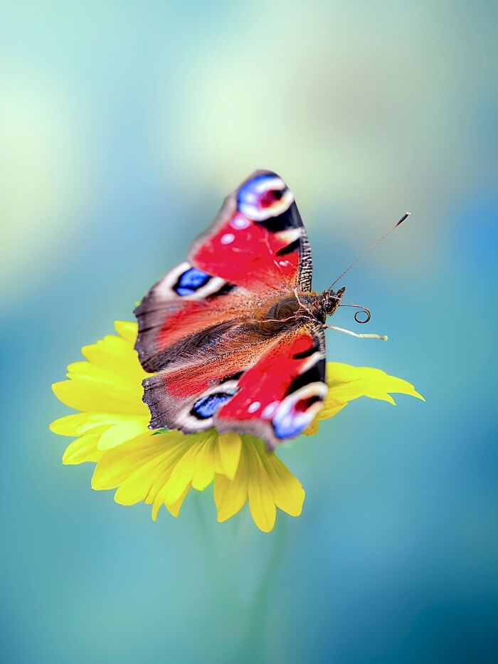 Get Ready To Geek Out Over These Wild Close-Ups of Tiny Nature Stuff!