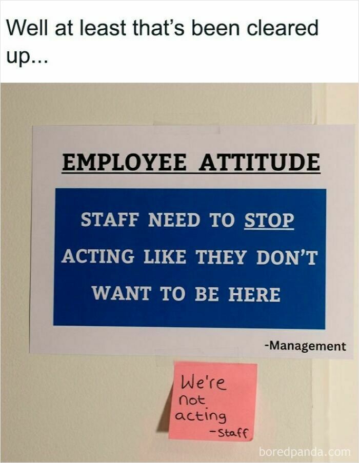 Wait, They Actually Ranked That?! LinkedIn Memes That Nail The Work-Life (Im)Balance