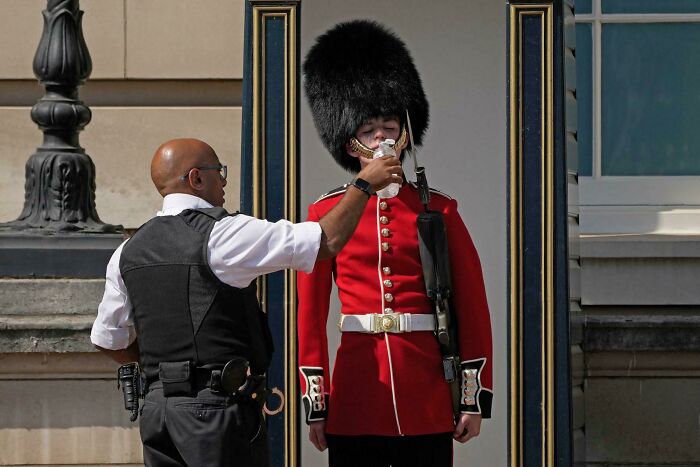 When a Cop Hands a Buckingham Palace Guard a Water Break During the UK Heatwave