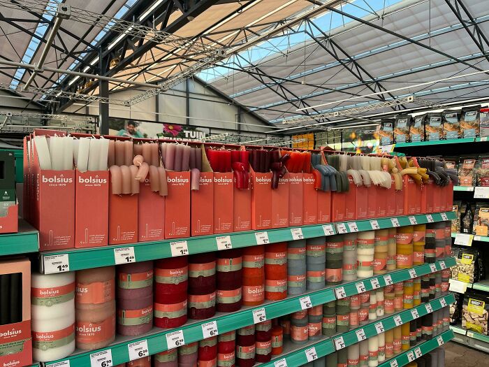 Heatwave Hits Garden Centre — Plants Now Basically Sizzling