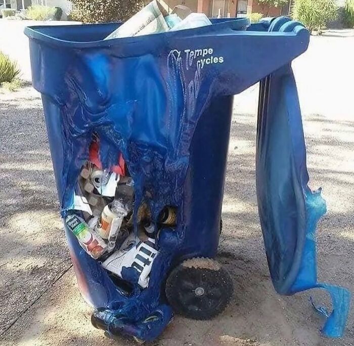 Arizona’s Stuff After Baking in the Scorching Sun