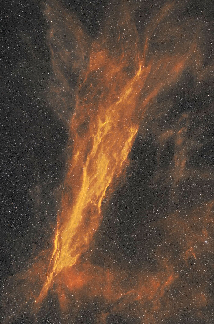 Gum12b: The Flaming Tree Of Space
