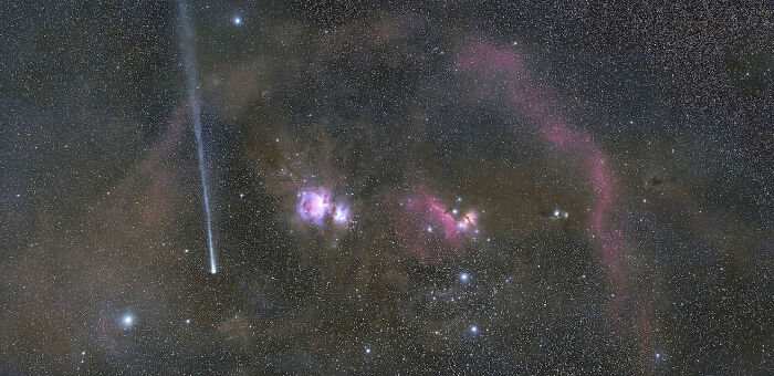 Comet Panstarrs In Orion: A Sky Guest Star