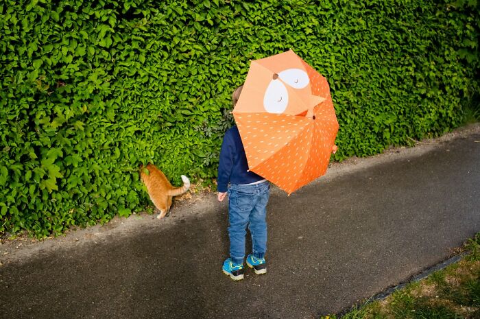 Rainy Day Buddies by Hadrien Jeanrichard