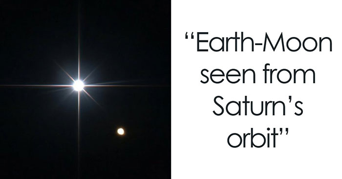 65 Mind-Blowing Facts That’ll Make You Say “Wait, What?!”