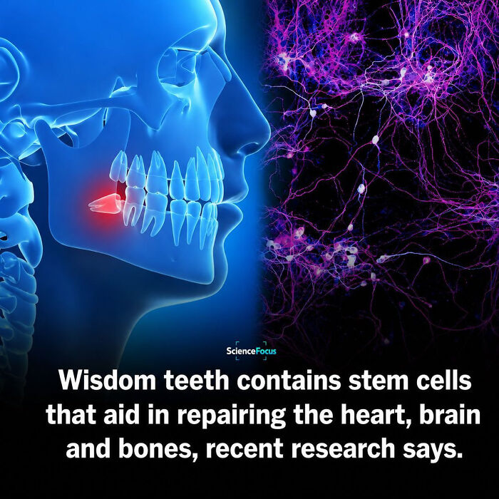 65 Mind-Blowing Facts That’ll Make You Say “Wait, What?!”
