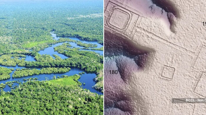 65 Mind-Blowing Facts That’ll Make You Say “Wait, What?!”