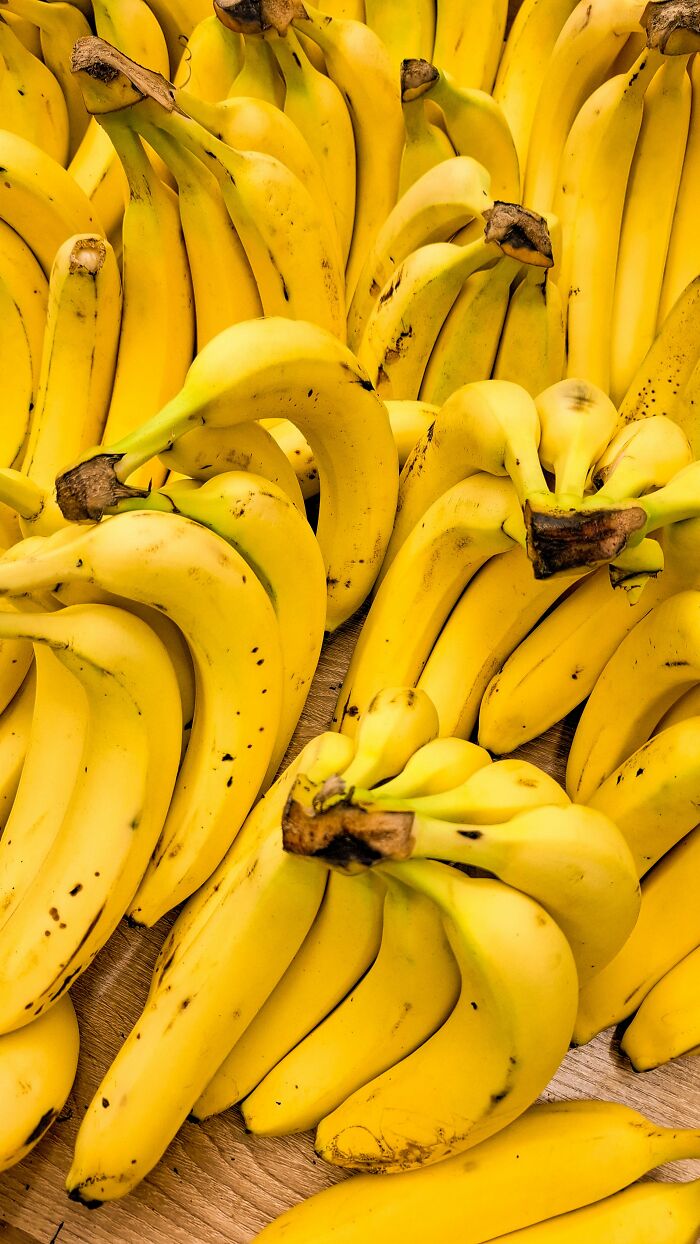 65 Mind-Blowing Facts That’ll Make You Say “Wait, What?!”