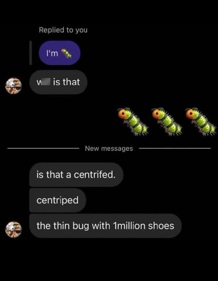 What Even Are These?