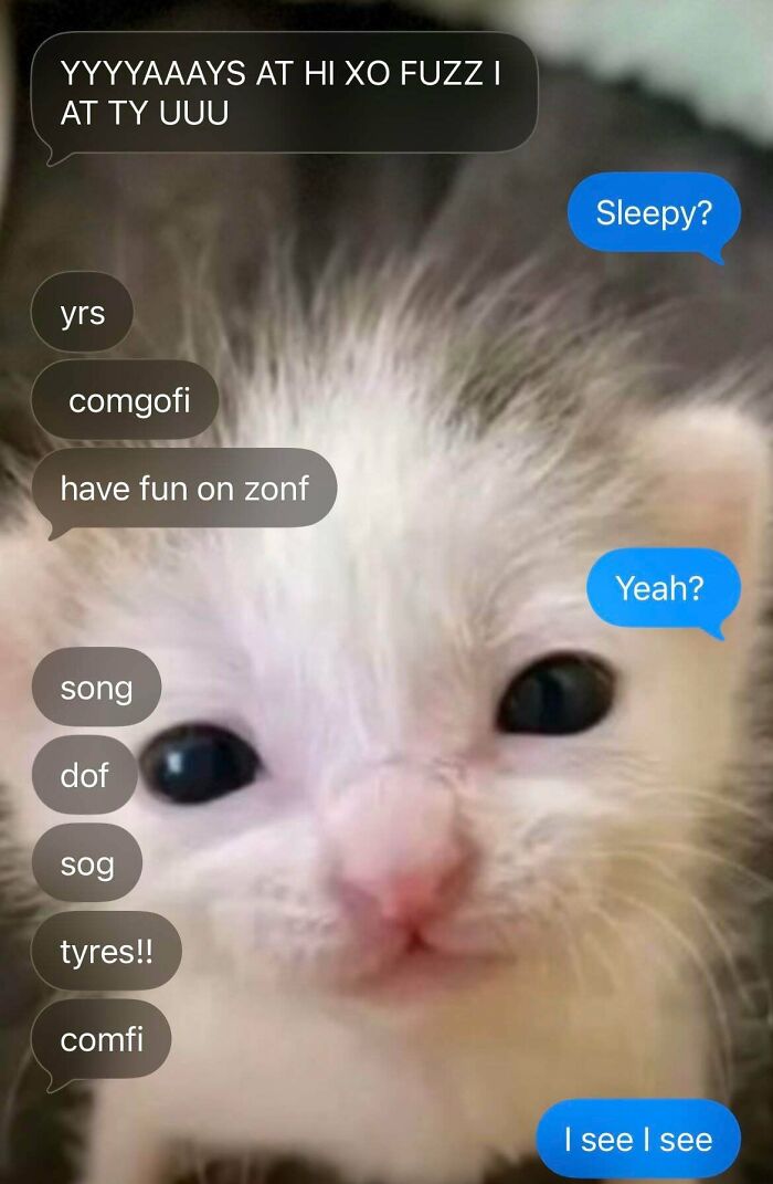 She Always Turns Into This When Sleepy