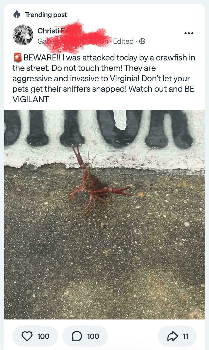 73 Neighbor Posts That Are Too Weird To Ignore