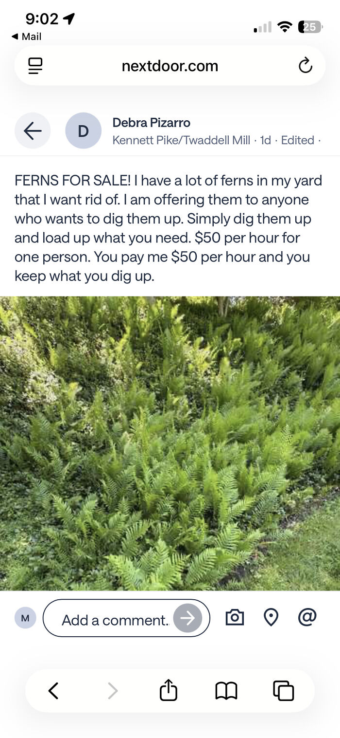 73 Neighbor Posts That Are Too Weird To Ignore