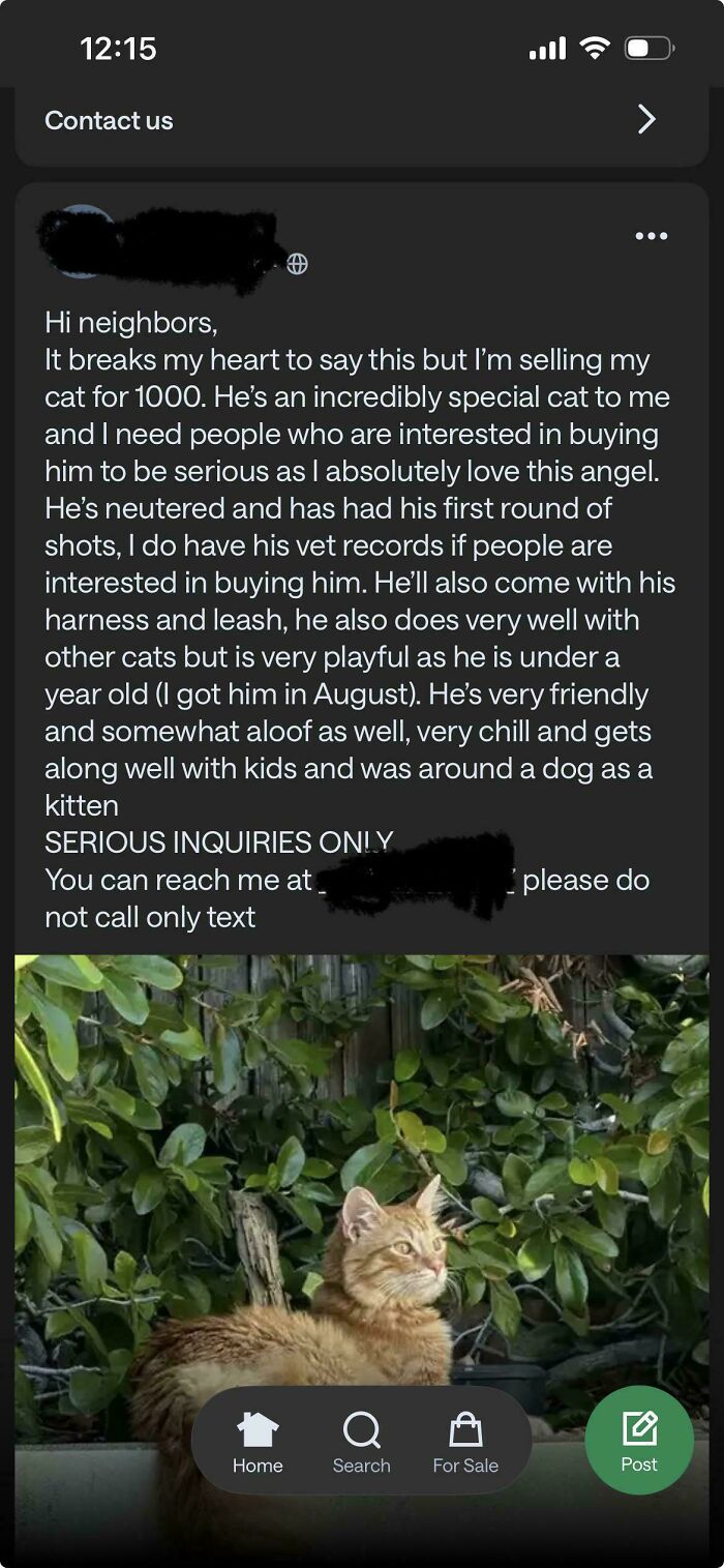 73 Neighbor Posts That Are Too Weird To Ignore