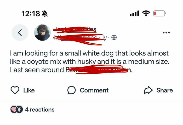 73 Neighbor Posts That Are Too Weird To Ignore