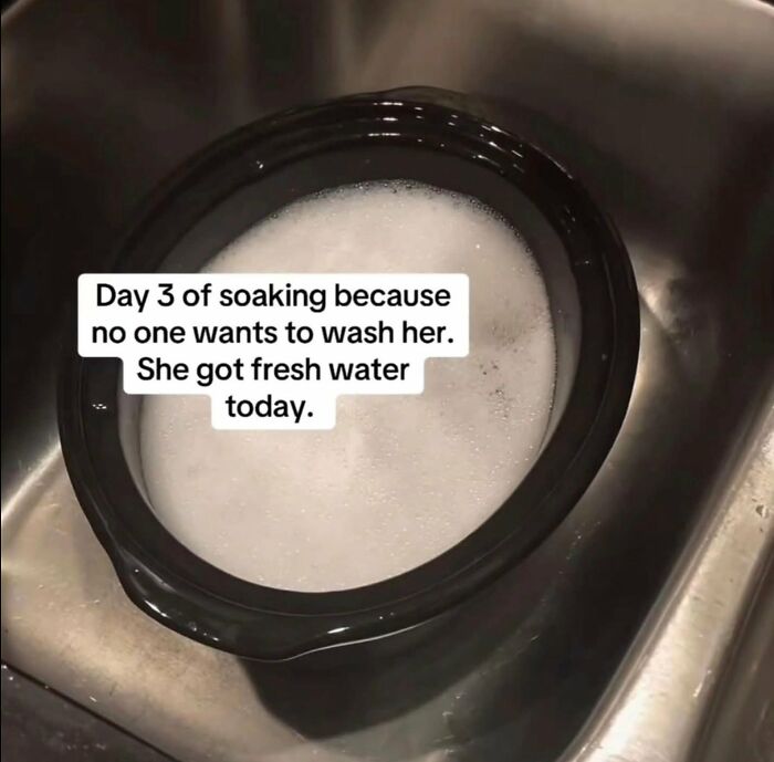 Wait, They Actually Believed This?! 93 Hilariously Wrong Posts That'll Make You LOL
