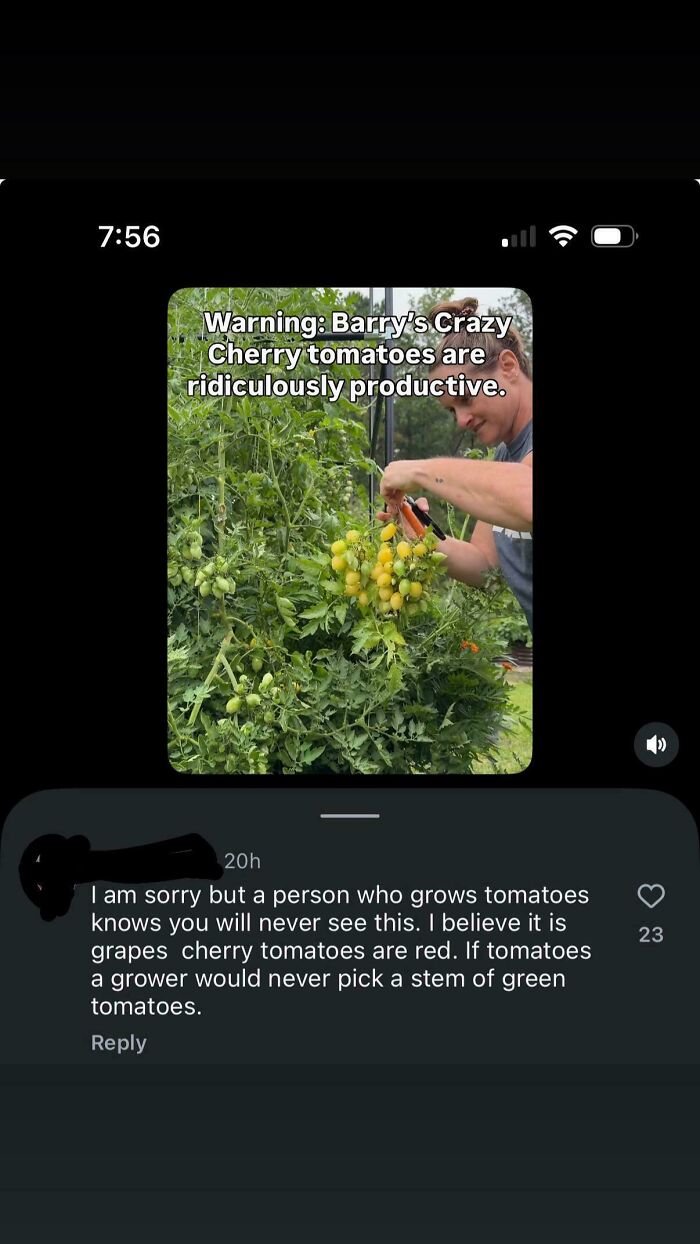 Wait, They Actually Believed This?! 93 Hilariously Wrong Posts That'll Make You LOL