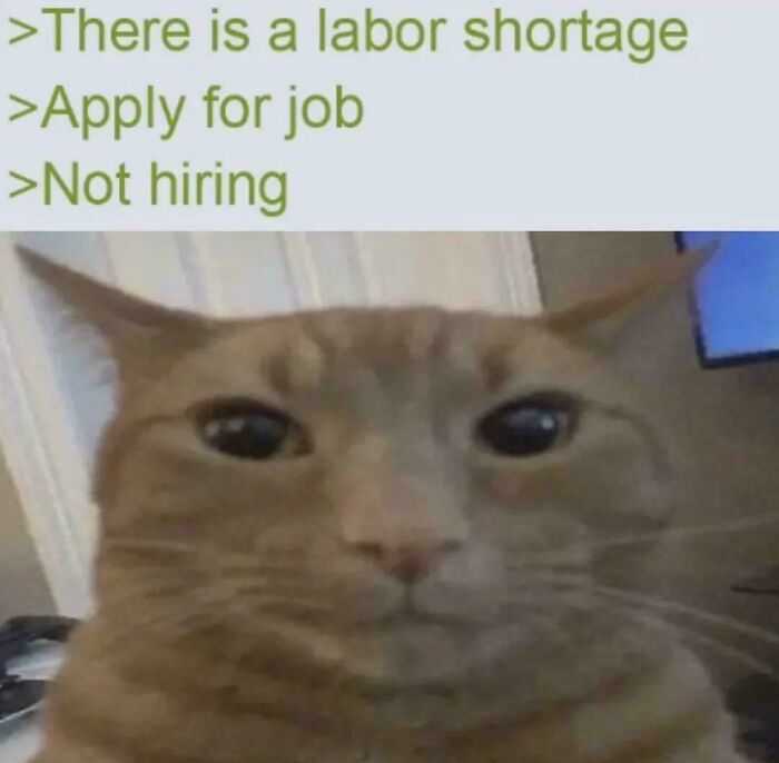 Job Hunting Madness: 50+ Posts That Prove Recruiting Is Basically a Comedy of Errors