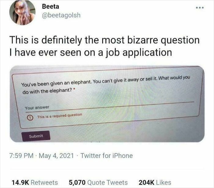 Job Hunting Madness: 50+ Posts That Prove Recruiting Is Basically a Comedy of Errors
