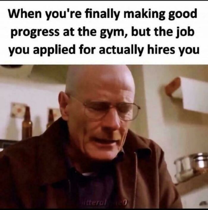 Job Hunting Madness: 50+ Posts That Prove Recruiting Is Basically a Comedy of Errors