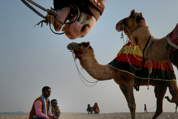 "Keepers Of The Horizon" By Arpit Saxena