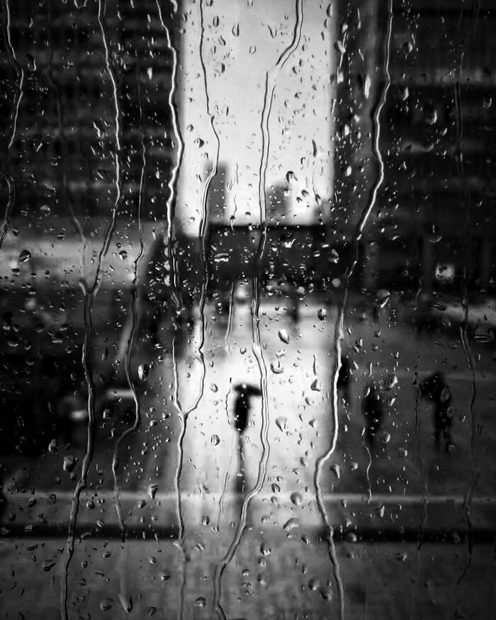 "Gimme Shelter" By Andrew Gimblet