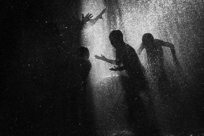 "Silhouettes In The Mist" By Lauren Stewart