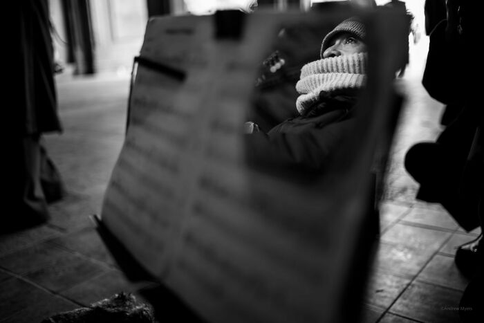 "The Musician" By Andrew Myers