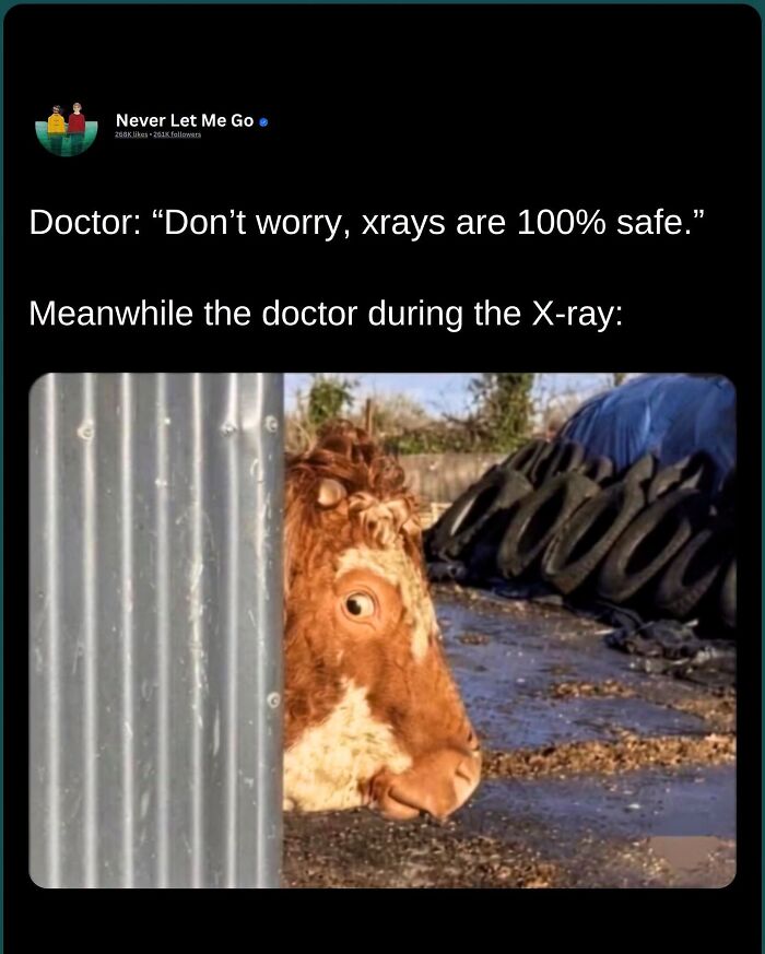 They’re Only Here For a Short While!