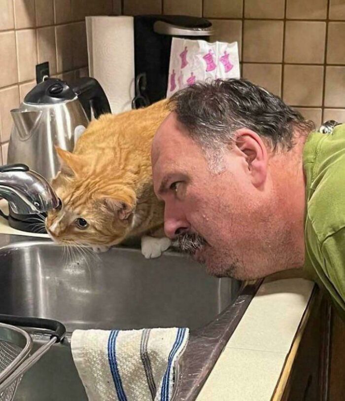 Okay, What Even Is This? 66 Mind-Boggling Pics to Scratch Your Head At!