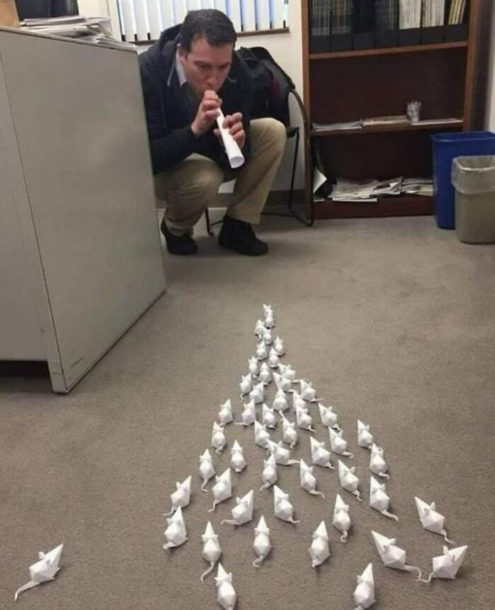 Okay, What Even Is This? 66 Mind-Boggling Pics to Scratch Your Head At!