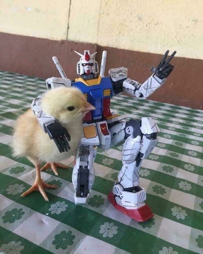 Okay, What Even Is This? 66 Mind-Boggling Pics to Scratch Your Head At!