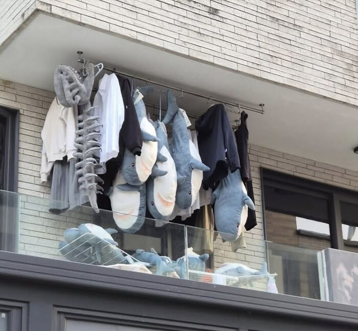Okay, What Even Is This? 66 Mind-Boggling Pics to Scratch Your Head At!