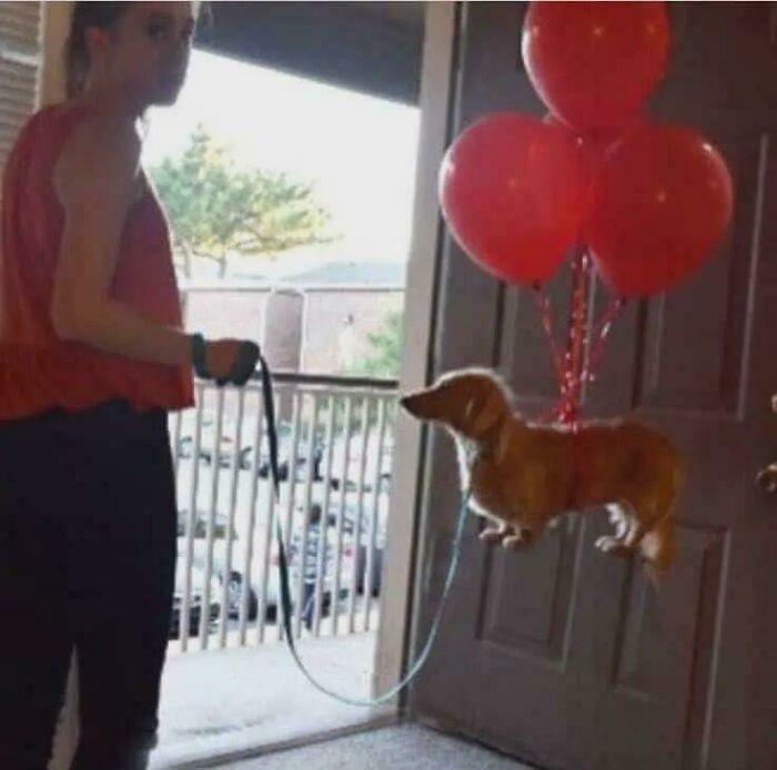 Okay, What Even Is This? 66 Mind-Boggling Pics to Scratch Your Head At!