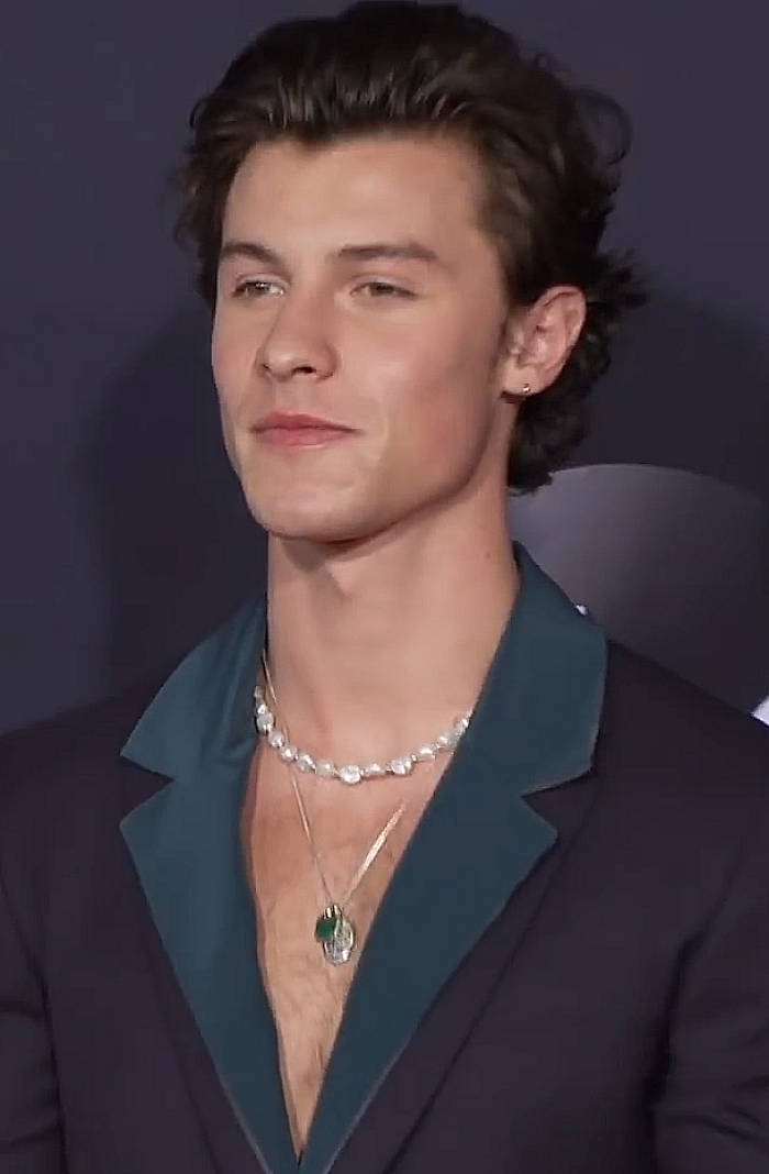 Shawn Mendes, Guitar Hero and Pop Star, 28