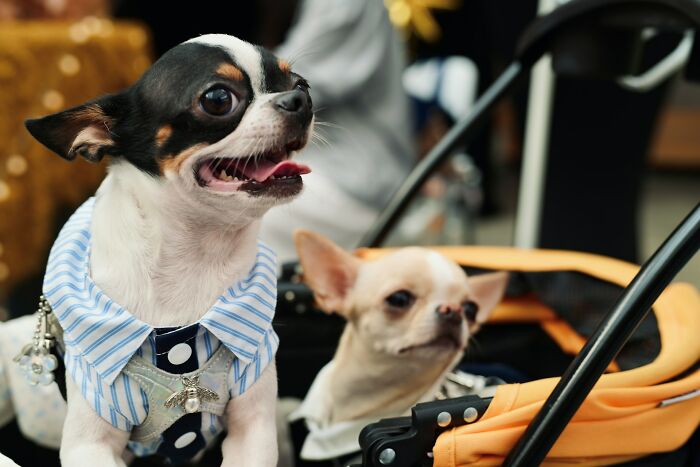 Wait, Employees Spill the Wildest Secrets About Rich People’s Lives!
